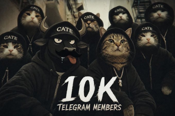 A group of cats wearing black hoodies and "CATE" caps pose together, with one cat wearing a bull mask, celebrating the milestone of reaching 10K Telegram members displayed in white text at the bottom. The image promotes the Catecoin Telegram community at t.me/catecoin_teleg, marking its growth to 10,000 members.