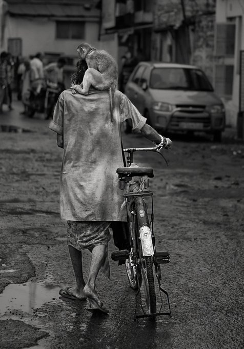 A black-and-white street photograph of a person in a worn shirt walking a bicycle with a monkey clinging to their shoulders down a wet street.