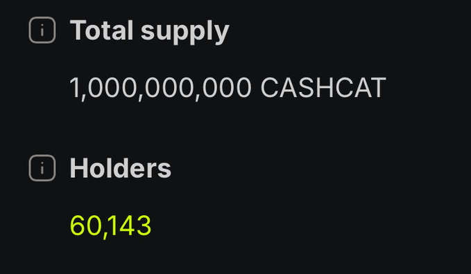The image shows cryptocurrency statistics for CASHCAT, displaying a total supply of 1,000,000,000 tokens and 60,143 holders. This supports the post's claim of reaching 60k holders, visually confirming the milestone milestone mentioned in the caption.