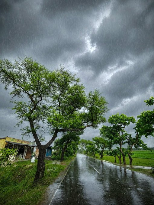 A scenic landscape showing a wet road lined with green trees, with dark, stormy clouds and rain falling heavily in the sky above.