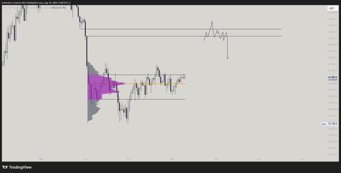A TradingView chart showing 'Australian created with TradingView.com' with candlestick price action and volume profile indicators, dated August 10.