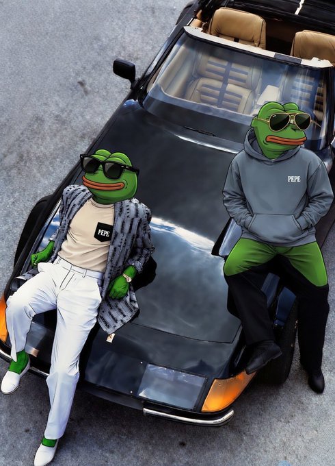 The image features two cartoon frogs sitting next to each other, wearing sunglasses and a jacket. They are positioned on top of a car with one frog sitting on the hood and the other on the passenger seat. The background shows a street scene, indicating that they might be in an urban setting or near a road.