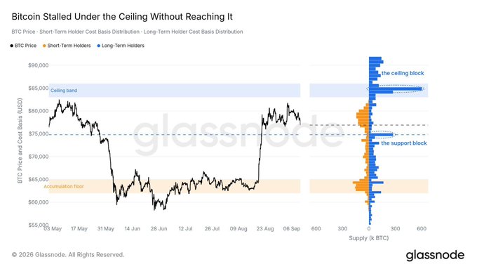 A chart titled 'Bitcoin Stalled Under the Ceiling Without Reaching It' by Glassnode displays BTC price alongside Short-Term and Long-Term Holder Cost Basis Distribution, highlighting the ceiling block near $85,000, the support block around $74,000, and the accumulation floor near $63,000.