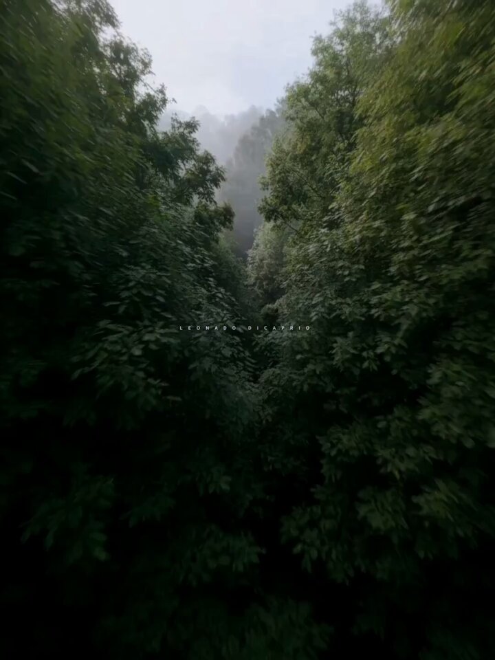 None