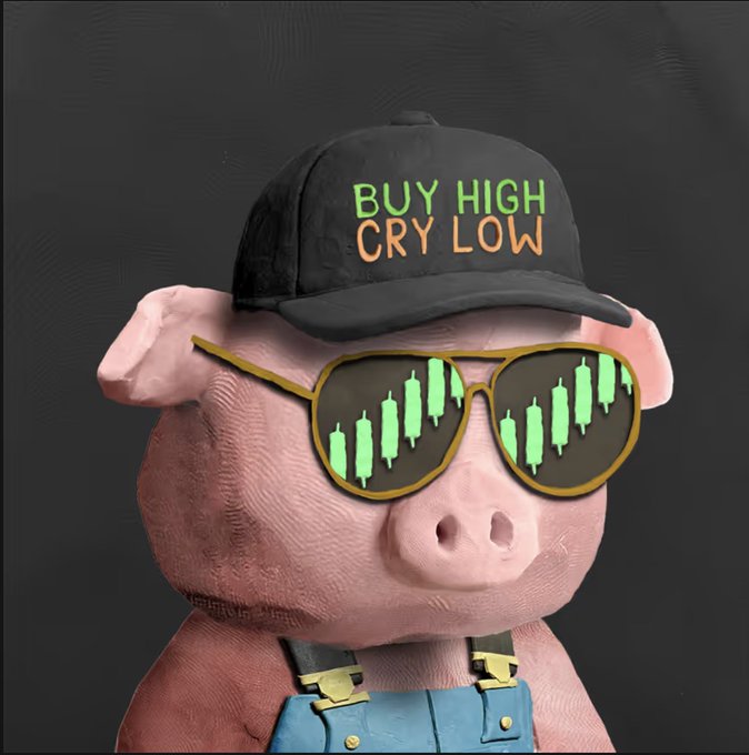 A pig wearing a black cap reading "BUY HIGH CRY LOW" and aviator sunglasses reflecting green candlestick charts, dressed in blue overalls, captioned as "Clay Stonkz." The humorous meme plays on the pig as a "stonk" symbol, with the cap's ironic trading advice contrasting the character's polished Wall Street look.