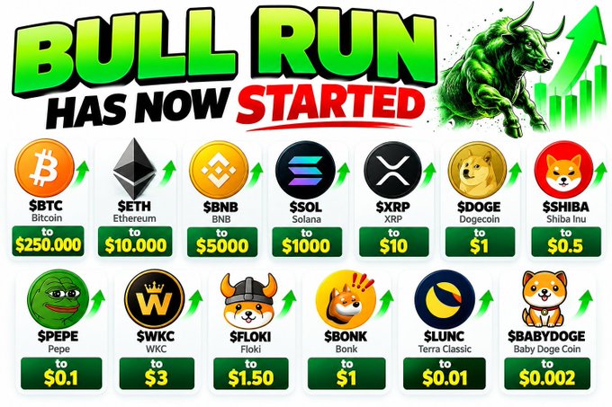 A promotional graphic titled 'BULL RUN HAS NOW STARTED' displays cryptocurrency tickers including $BTC, $ETH, $BNB, $SOL, $XRP, $DOGE, $SHIBA, $PEPE, $WKC, $FLOKI, $BONK, $LUNC, and $BABYDOGE with target prices.