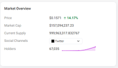 A "Market Overview" panel showing a token priced at $0.1571 (+14.17%), with a market cap of $157,094,237.23, current supply of 999,963,317.832767, and 67,035 holders—paired with a post arguing that DOGE's 12-year-old tokenomics and founderless narrative make any flip unlikely.