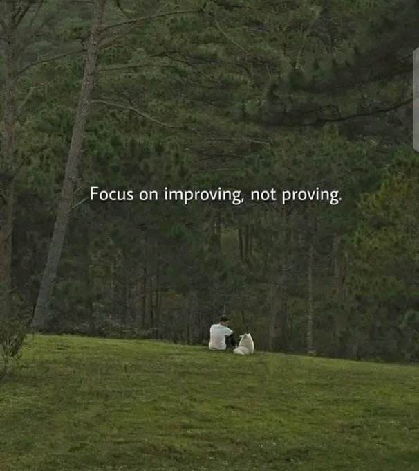 A person and their dog sit peacefully on a grassy hill before a dense forest, with the text "Focus on improving, not proving." overlaid on the scene. The image's message reinforces the post's theme of steady, consistent growth—emphasizing personal progress over chasing hype or external validation, much like the quiet discipline of building long-term value.