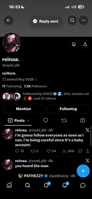A Twitter/X profile for user 'reinaa.' (@rumi_alt) showing 17 Following, 7.3K Followers, with a pinned post saying 'i'm gonna follow everyone as soon as i can. i'm being careful since it's a baby account.'