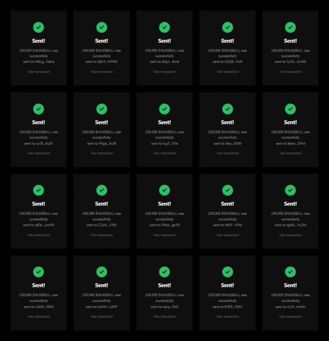 A grid of transaction confirmations showing multiple successful transfers of 250,000 SNKERBULL tokens sent to various wallet addresses.