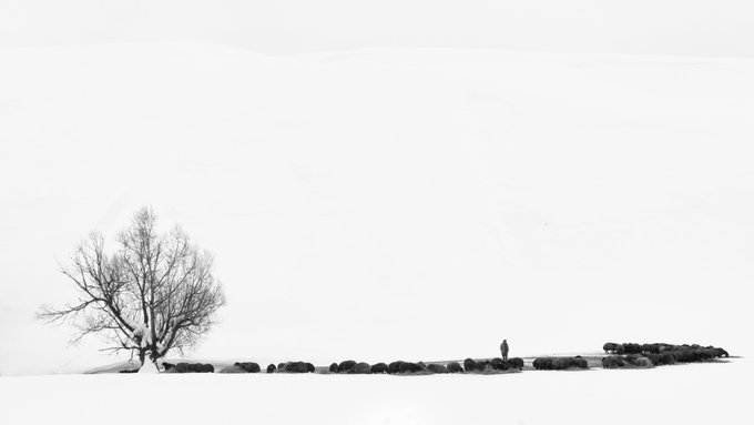 A minimalist black-and-white photograph captures a solitary person standing on a rocky outcrop beneath a bare tree in a vast, snowy landscape.