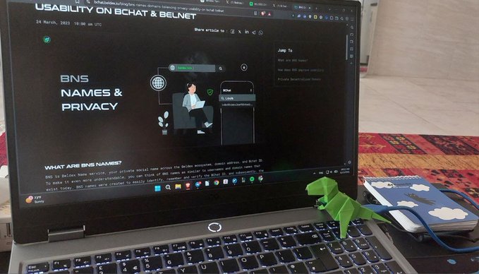 A laptop displays a webpage titled 'USABILITY ON BCHAT & BELNET' with a section on 'BNS NAMES & PRIVACY', accompanied by a small green origami dinosaur figure on the keyboard.
