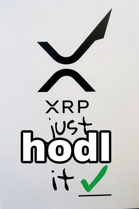 A hand-drawn image featuring the XRP logo above handwritten text reading 'XRP just hodl it' with a green checkmark.