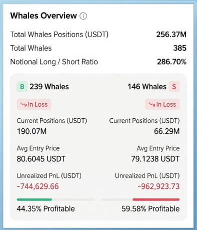 A 'Whales Overview' dashboard showing 239 long whales and 146 short whales, with a notional Long/Short ratio of 286.70% and total whale positions of 256.37M USDT.