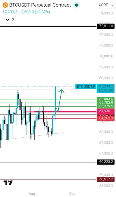 A TradingView BTCUSDT Perpetual Contract chart showing Bitcoin at 67,233.2 (+3.87%), with price levels annotated including resistance at 72,811.0, support zones around 65,994.6-65,379.9, and recent consolidation near 64,930.1-64,262.3, illustrating the post's claim that the $67,233 target was hit and suggesting a next upside target of 72,800.
