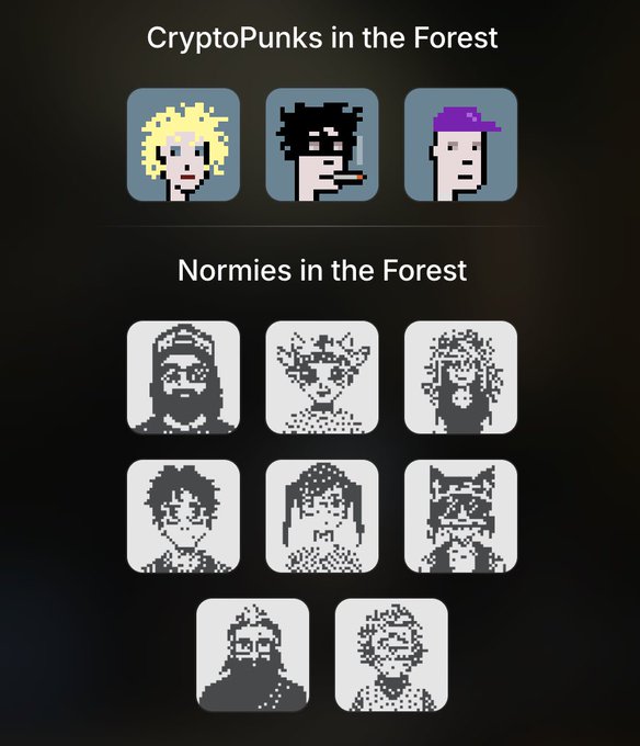 A mobile app interface titled 'CryptoPunks in the Forest' showing three colorful CryptoPunk NFT characters above a grid of grayscale 'Normies in the Forest' pixel-art avatars.