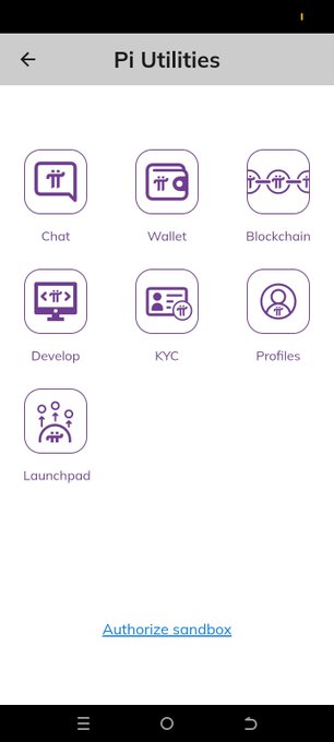The image shows a "Pi Utilities" menu featuring icons for Chat, Wallet, Blockchain, Develop, KYC, Profiles, and Launchpad, with an "Authorize sandbox" link at the bottom. It visually represents the developer tools mentioned in the post, particularly highlighting the "Develop" icon as part of Pi Network's investment in utility-focused features that enable new app functionalities like marketplaces, content sharing, and community apps.