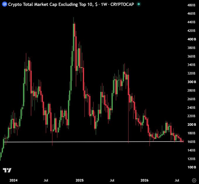 A weekly candlestick chart titled 'Crypto Total Market Cap Excluding Top 10, $ · 1W · CRYPTOCAP' showing price action from 2024 to mid-2026, with a horizontal support line around $160B.