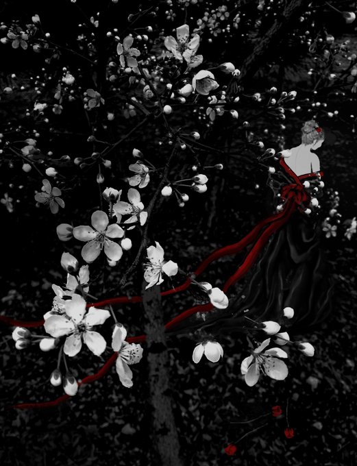 A black and white artistic image with selective red coloring, showing cherry blossoms in the foreground and a woman in a flowing black dress with a red sash in the background.