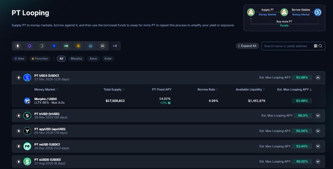 A 'PT Looping' DeFi interface listing supply and borrow rates for tokens including USDC, USDX, apeUSD, mUSDC, and sUSD, with estimated max looping APYs up to 63.48%.