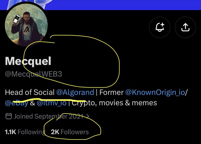 A Twitter/X profile for 'Mecquel' (@MecquelWEB3) showing their bio as 'Head of Social @Algorand | Former @KnownOrigin_io/ @eBay & @itmv_io | Crypto, movies & memes', with yellow circles highlighting the username and follower count (2K Followers).