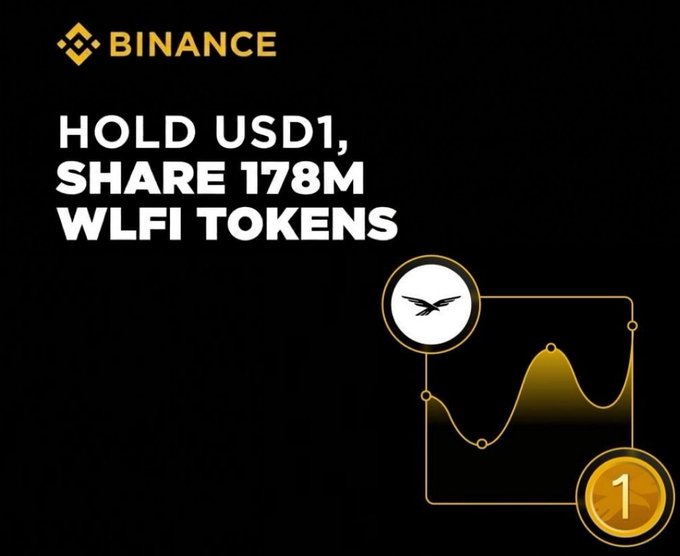The image features a black background with white text that reads "Binance Hold USD1, Share 178M Wfi tokens". The text is positioned above two coins placed at different heights - one closer to the top of the image and another near the bottom.