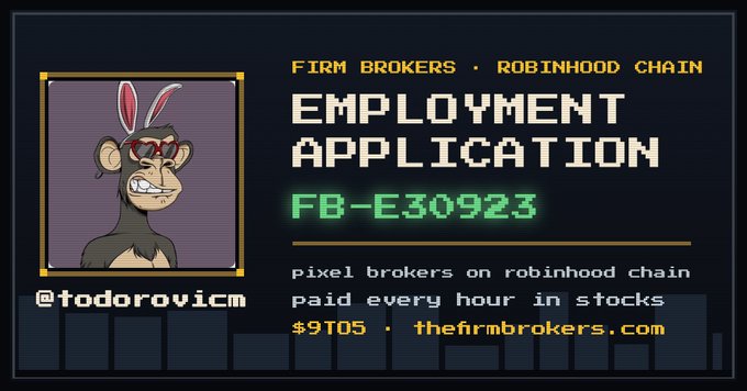 A pixel art style 'EMPLOYMENT APPLICATION' graphic for 'FIRM BROKERS • ROBINHOOD CHAIN' featuring a monkey avatar wearing sunglasses and bunny ears, with the code 'FB-E30923' and text about paying in stocks, tagged @todorovicm.