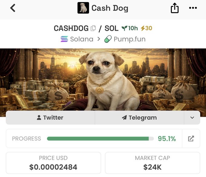 A screenshot of the "$CASHDOG" memecoin (ticker CASHDOG/SOL) on Pump.fun shows 95.1% bonding curve progress with a $24K market cap and a price of $0.00002484, featuring a chihuahua sitting among bags of money. The image accompanies a post announcing a midnight airdrop for $CASHDOG, with the contract address provided for participants to submit their Solana wallets.