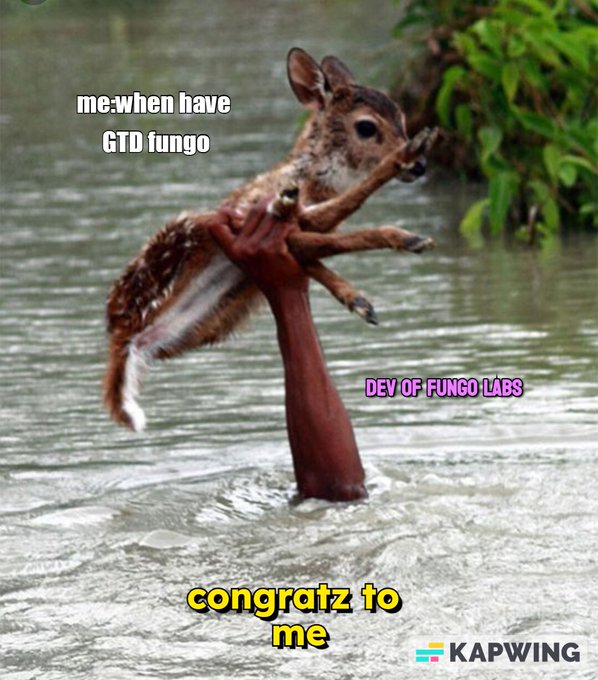 A meme showing a deer being held up by a hand emerging from water, labeled 'me when have GTD fungo' (deer), 'DEV OF FUNGO LABS' (hand), and 'congratz to me' (water).