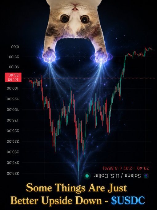 The image features a cat sitting above a financial chart with its eyes open, looking at the viewer as if posing for a photo. Below the chart, there's text that states "Some things are just better Upside Down $USDC". This suggests that although the current economic situation might appear bleak or challenging (upside-down), there may be better opportunities or strategies to navigate through it.