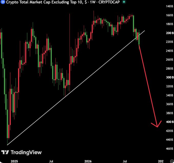 A TradingView chart titled "Crypto Total Market Cap Excluding Top 10" showing a weekly candle chart with a white trendline and a red arrow pointing sharply downward.