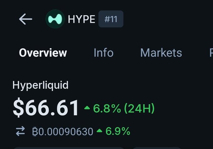 "HYPE" appears within a black text box with some white space above it, suggesting that "HYPE" could be either the title of an article or an email address related to the content of this image. The word "Hyperliquid" is also present in the image's context but does not stand out prominently as a separate object. The presence of multiple instances of "HYPE" within the image and the surrounding text might imply that it is a significant element in the overall composition or message being conveyed.