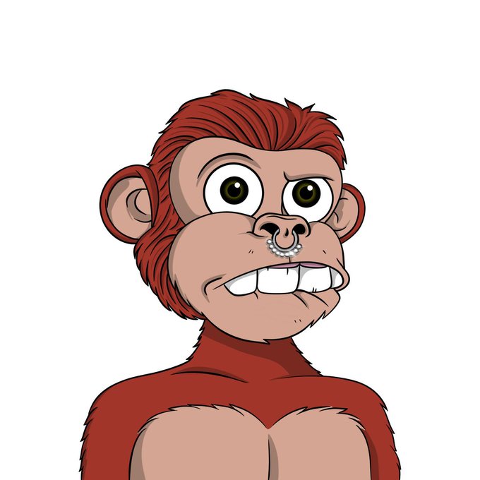 A cartoon illustration of a brown monkey with reddish-brown hair, a nose ring, and visible buck teeth looking slightly to the side.