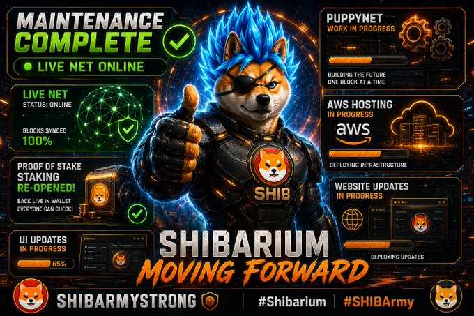 The image features an anime poster for a Shiba Inu character named Shibarium, who is depicted giving a thumbs up with his arms raised high. The poster also includes information about the Shiba Inu character's status on Puppynet, as well as updates and progress related to the character's maintenance and updates.