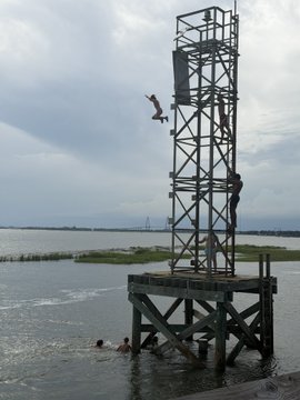 A person jumping off a tall metal tower into a lake, with a robotic black swan sculpture standing on the deck.