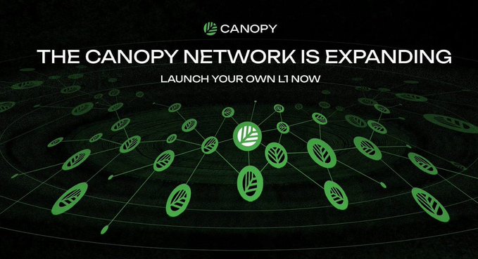 A promotional graphic for the Canopy Network, featuring the Canopy logo and the text "THE CANOPY NETWORK IS EXPANDING" and "LAUNCH YOUR OWN L1 NOW," set against a dark background with a network of connected green leaf-shaped nodes.