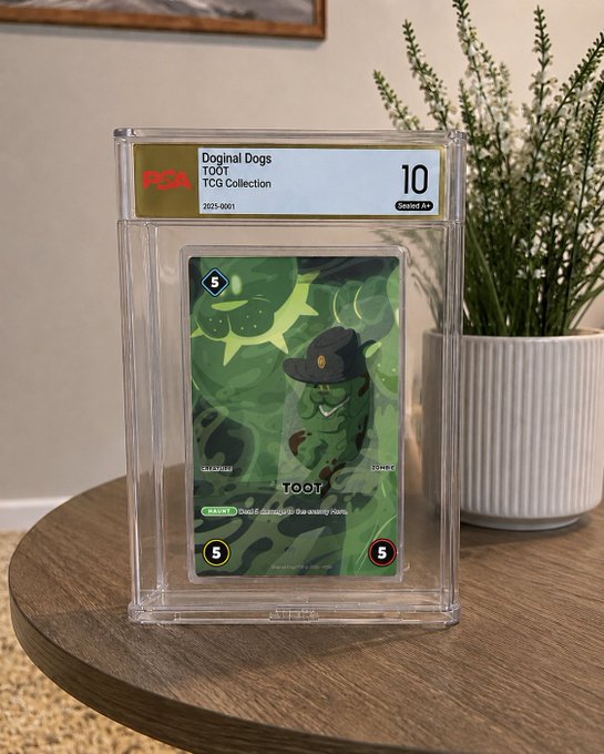 A graded 'TOOT' trading card from the Doginal Dogs TCG Collection by PSA, rated Gem Mint 10, displayed in a protective case on a wooden table next to a potted plant, featuring a green character in a hat.