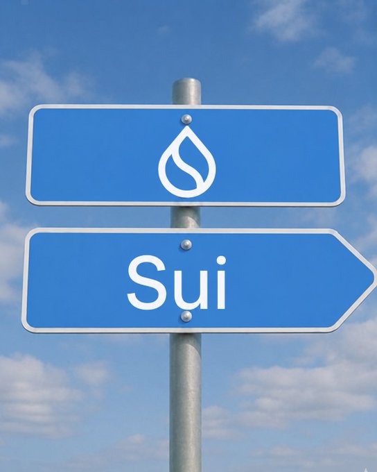 The image features two blue street signs with white text, one of which reads "sui", indicating that there's a network or website named @SuiNetwork. The other sign says "sui" as well but has an arrow pointing towards it, suggesting that this information is related to the direction of the network or website.