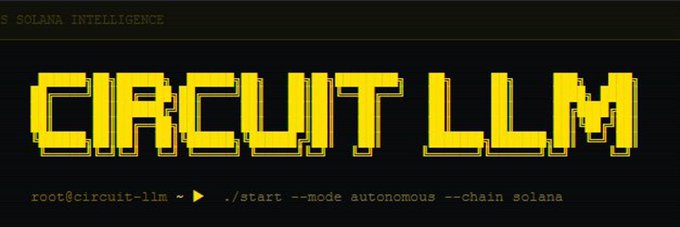 The image features a banner with yellow text that reads "circuit llm" written in black letters. The background of the image is gray. Below this banner, there's some text that says "root-circuit-llm". This suggests that the image might be related to a project or an event involving circuit llm and Solana intelligence.