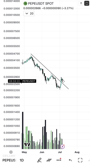 A 1D TradingView candlestick chart of PEPE/USDT spot showing price declining from ~0.0000047000 in May to ~0.000002666 at present (down 3.27%), with a descending trendline and a smaller bull flag formation drawn near the 0.000002600–0.000002800 zone, visually supporting the post's claim that PEPE is "building inside a bull flag" and setting up for a potential long breakout.