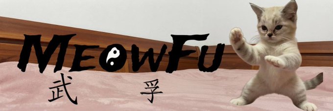 The image is a promotional banner for the meme coin "MeowFu," featuring a small kitten in a martial arts pose on a bed, with the title "MEOW FU" styled like the "Kung Fu" movie font alongside the Chinese characters "武" (martial) and "孚" (trust). It supports the post's pitch to buy the $FU token, using the cute martial-arts kitten branding as a meme-driven call to action.