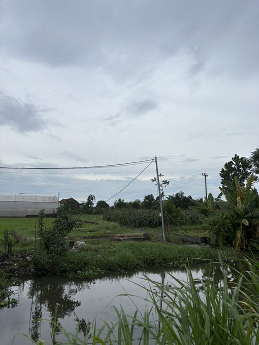 A serene rural landscape features a calm pond reflecting a cloudy sky, with power lines, greenhouses, and tropical vegetation visible in the distance. The tranquil scene contrasts with the post's message about sleep tracking and digital wellness, offering a peaceful visual reminder of the value of natural rest.