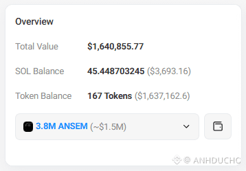 A screenshot of a Solana wallet overview showing a total value of $1,640,855.77, consisting of 45.448703245 SOL ($3,693.16) and 167 tokens ($1,637,162.6), with a notable holding of 3.8M ANSEM tokens valued at ~$1.5M, illustrating the unrealized gains from the airdropped tokens that would now be worth ~$1.6 million despite a drop from their original $30,000 valuation.