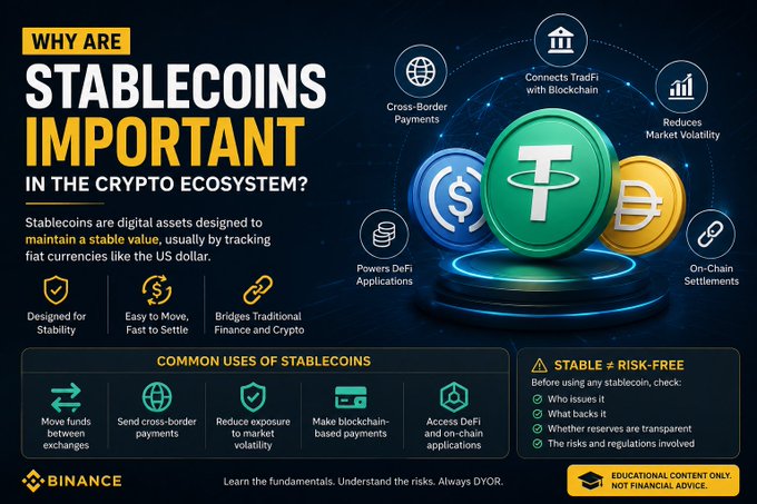 A Binance educational infographic titled "Why Are Stablecoins Important in the Crypto Ecosystem?" featuring Tether (USDT), USDC, and Bitcoin coin graphics, outlining stablecoin benefits like stability, fast settlement, and bridging traditional finance with crypto, along with common uses including cross-border payments, DeFi access, and exchange transfers.