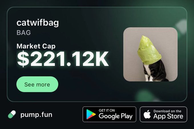 Pump.fun token page for 'catwifbag' (BAG) with a market cap of $221.12K, featuring an image of a cat wearing a green plastic bag on its head, with Google Play and App Store download buttons.