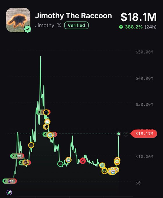 A cryptocurrency price chart for "Jimothy The Raccoon" ($Jimothy) shows a token valued at $18.1M with a 388.2% gain in 24 hours, featuring multiple emoji-marked buy points along the price action. The chart visually supports the post's claim of calling the token early, with marked entries spanning from very low market caps up through the massive peak near $50M.