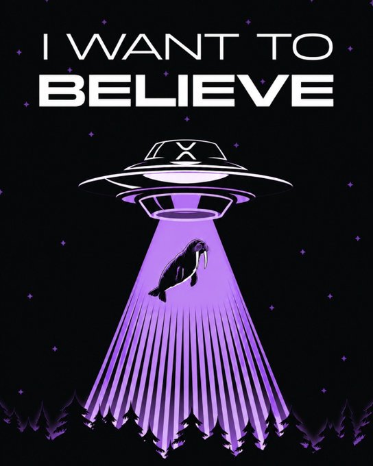 Artwork featuring the text "I WANT TO BELIEVE" above a UFO abducting a walrus with a purple tractor beam.