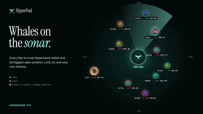 A 'Whales on the sonar' infographic by HyperPad showing cryptocurrency positions on a radar display, with a legend for long and short positions.