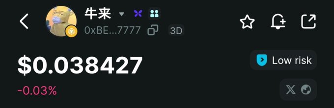 The image shows a cryptocurrency called "牛来" (Niu Lai) trading at $0.038427, down 0.03%, displayed with a "Low risk" label. This relates to the post's mention of seeing a meme coin declining in value, as the poster struggles to identify its origin or credibility.