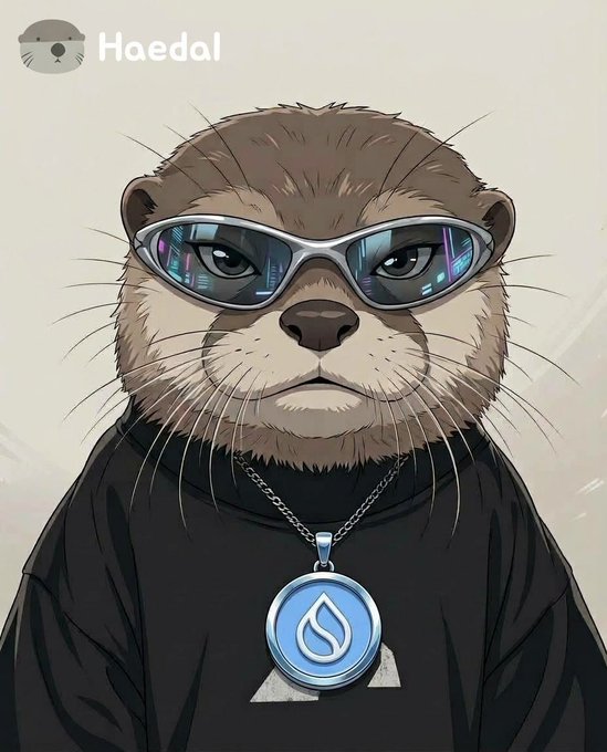 An illustration of an otter wearing futuristic reflective sunglasses, a black shirt, and a blue droplet pendant necklace, with the text 'Haedal' in the top left corner.